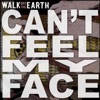 Walk Off the Earth - I Can't Feel My Face