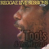 Toots & The Maytals - Time Tough