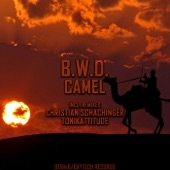 Camel (Tonikattitude Remix) artwork