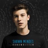 shawn mendes - imagination