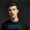 Air (feat. Astrid S) - Shawn Mendes lyrics