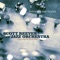 Scott Reeves Jazz Orchestra - Aquas de Marco