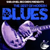 Shrapnel Records Presents: The Best of Modern Blues - Various Artists