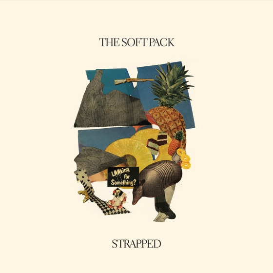 Cover artwork for Ray's Mistake