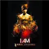 2011 JJ林俊傑 I AM 世界巡迴演唱會 (小巨蛋 終極典藏版) (現場版) album lyrics, reviews, download