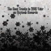 The Best Tracks in 2015 Year on Oxytech Records. Part II artwork