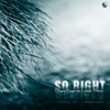 Gregory Esayan - So Right (Maxim Andreev Nu Disco Mix)