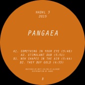 Pangaea - Stimulant Dub