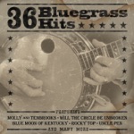 The Bluegrass Cardinals - Angels Rock Me to Sleep