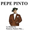 Pepe Pinto, 1989