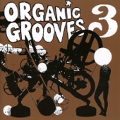 Organic Grooves 3 artwork