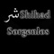 Sorgenlos - El Shihad lyrics