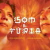 Som e Fúria, 2015