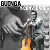 Guinga e Convidados Vol. 1