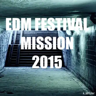 EDM Festival Mission 2015 by Various Artists album reviews, ratings, credits