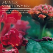 Mahler: Symphony No. 1 artwork