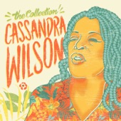 Cassandra Wilson - Blue Skies