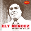 Voces de Billo - Ely Mendez