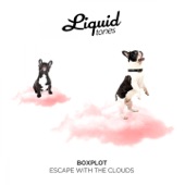 Escape with the Clouds artwork