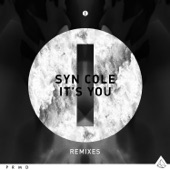 It's You (Broiler Remix) [Extended Mix] artwork