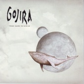 GOJIRA - In the Wilderness