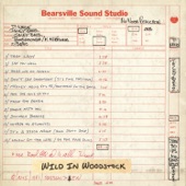 Wild In Woodstock: Live At Bearsville Sound Studio (1980) artwork