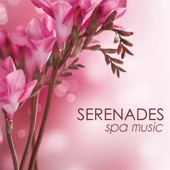 Serenades Spa Music - Relaxation Music Best of Spa Background Songs Relaxation Meditation artwork
