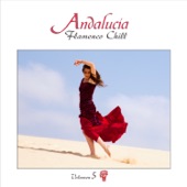 Andalucía Flamenco Chill, Vol. 5 artwork