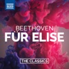 Beethoven: Für Elise, 2015