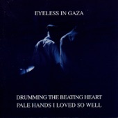 Eyeless In Gaza - Light Sliding