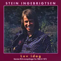 Lev Idag by Stein Ingebrigtsen album reviews, ratings, credits