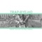 Trap-Bye-Ho (feat. Hd) - Hurricane The King lyrics