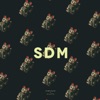 SDM (feat. Gillette) - Single