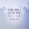 Future House & Electro House Forever - Summer Session 2015, 2015