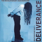 Revolutionary Dub Warriors - One Drop