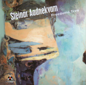 Hillside (feat. Peter Fredman) - Steinar Aadnekvam