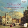 L'Arte Dell'Arco, Federico Guglielmo & Francesco Galligioni - Flute Concerto in D Major, RV 428: II. Cantabile