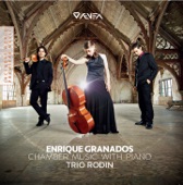 Piano Trio in C Major, Op. 50, H. 140: I. Poco allegro con espressione artwork