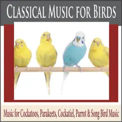 Classical Music for Birds: Music for Cockatoos, Parakeets, Cockatiel, Parrot & Song Bird Music by Steven Current album reviews, ratings, credits