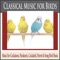 Ode to Joy (Music for Birds) - Steven Current lyrics