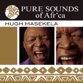 Pure Sounds of Africa artwork