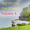 Jigs on the Tin Whistle: Volume 1, 2015