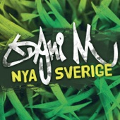Nya Sverige artwork