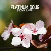 Brown Sugar (Croatia Squad Remix) artwork