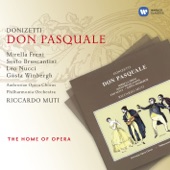 Donizetti: Don Pasquale artwork