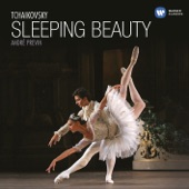 Tchaikovsky: The Sleeping Beauty, Op. 66 artwork