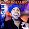 Best of Florin Salam, 2013