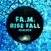 Rise Fall - Single