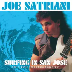 Surfing in San Jose (Live) - Joe Satriani