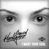 Social Hooliganz - I Want Your Soul